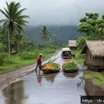 솔로몬 제도 도시화 문제 - A detailed scene of a rural Solomon Islands village road during the rainy season, showing muddy dirt...