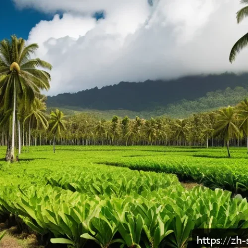 솔로몬 제도 열대 과일 생산 - A lush tropical orchard in the Solomon Islands near the equator, featuring vibrant coconut palms, ba...